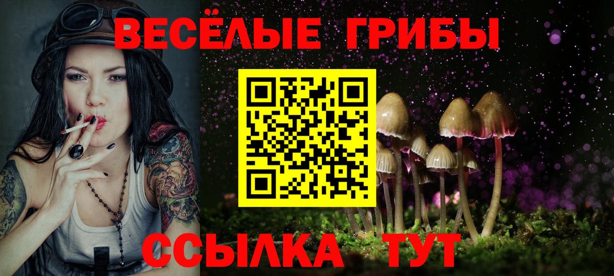 Галлюциногенные грибы Cubensis Майский
