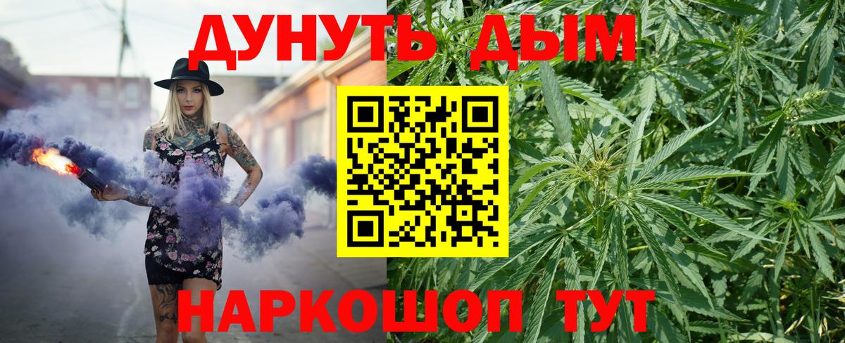 Канабис гибрид Майский